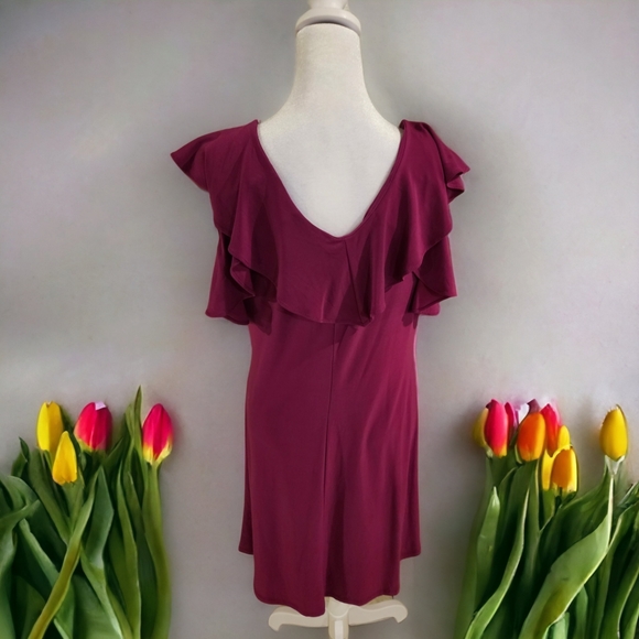 NWOT Kate & Mallory Ruffled Dress Size Small - Picture 2 of 4